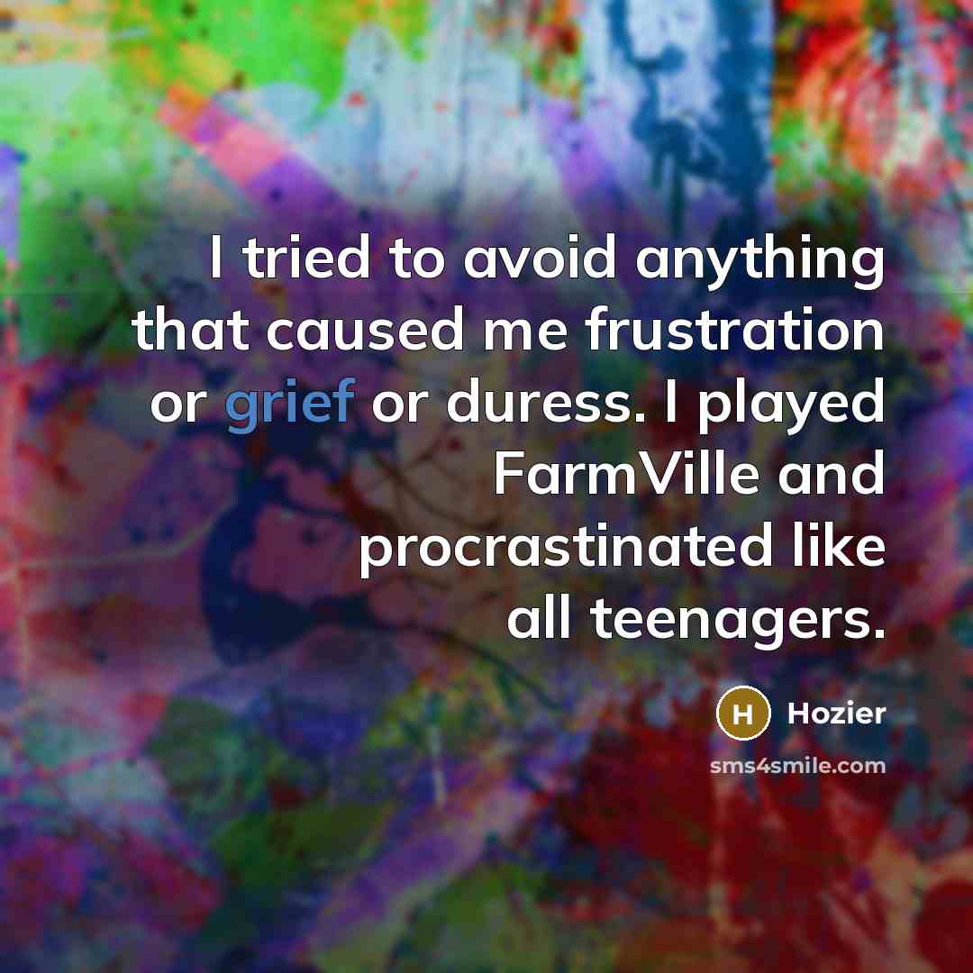 “I tried to avoid anything that caused me frustration or…” quote by Hozier