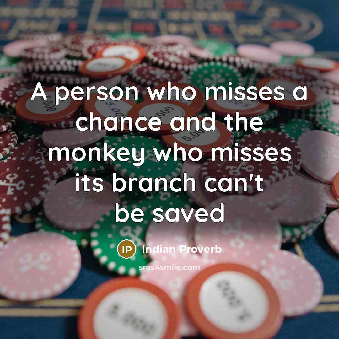 “A person who misses a chance and the monkey who…” quote by Indian Proverb