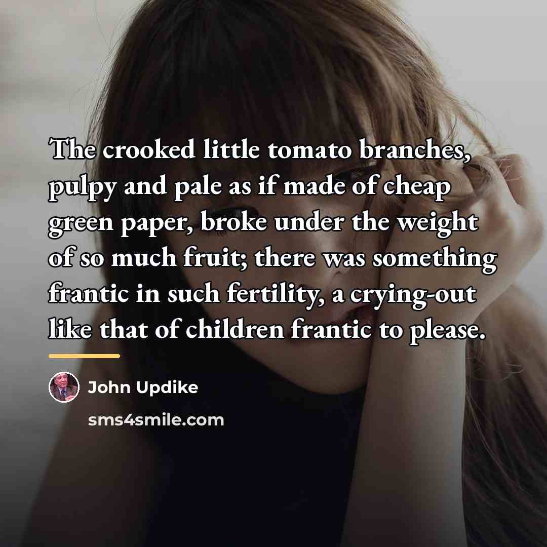 “The crooked little tomato branches, pulpy and pale as if…” quote by John Updike
