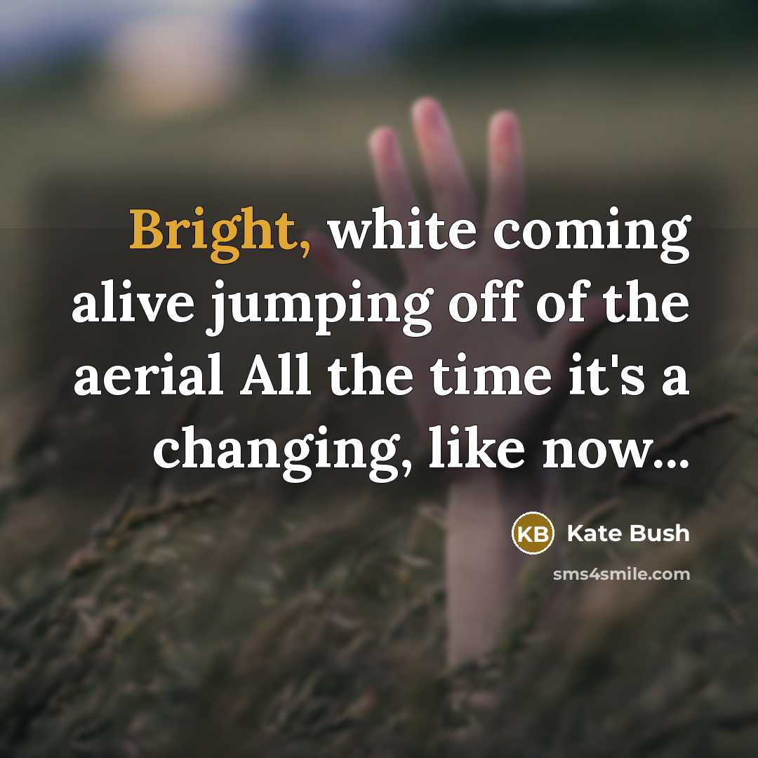 “Bright, white coming alive jumping off of the aerial All…” quote by Kate Bush