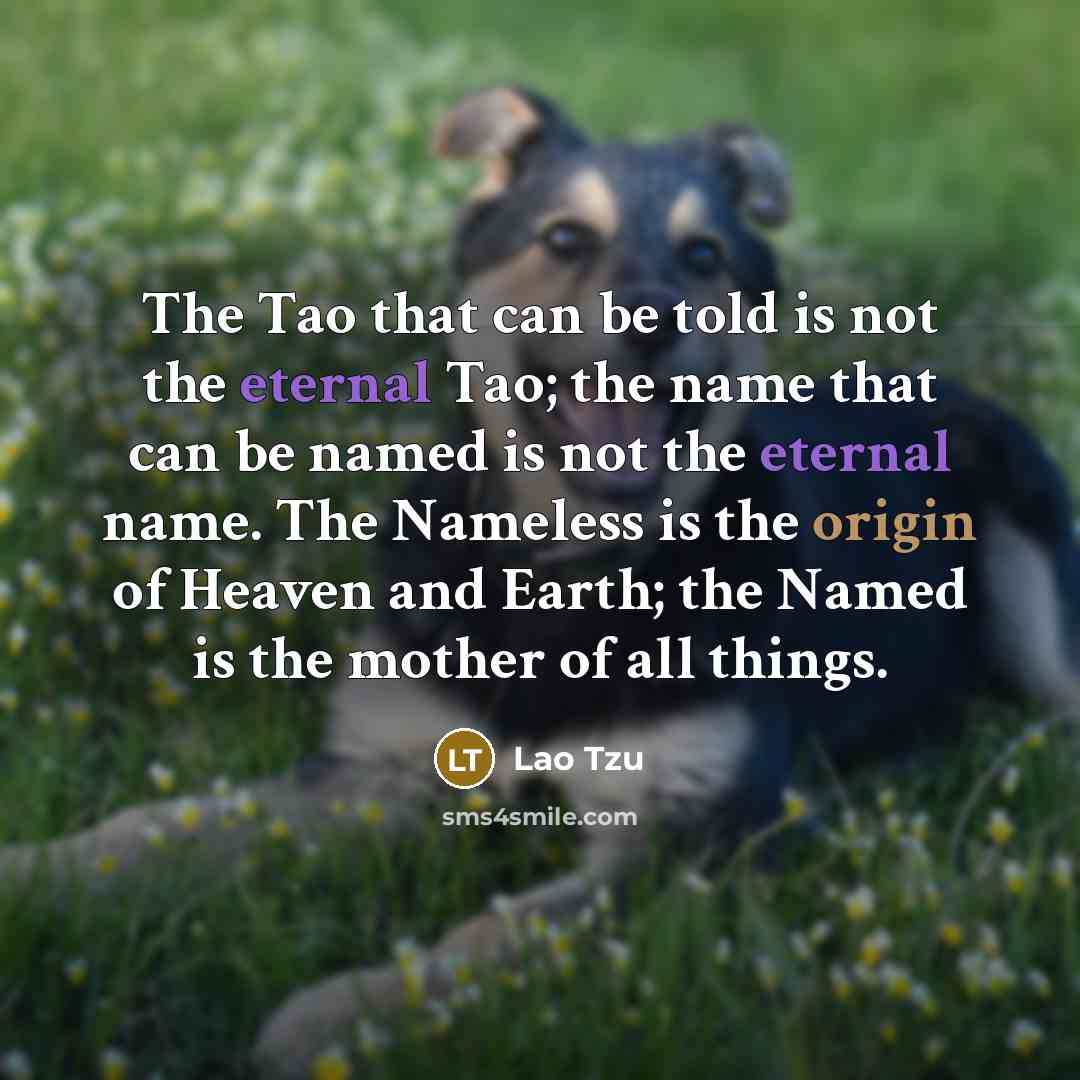 “The Tao that can be told is not the eternal…” quote by Lao Tzu