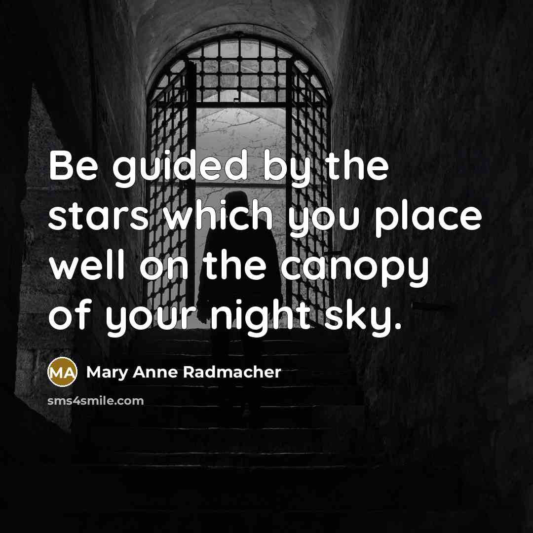 “Be guided by the stars which you place well on…” quote by Mary Anne Radmacher