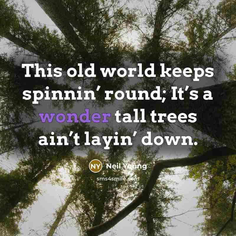 “This old world keeps spinnin’ round; It’s a wonder tall…” quote by Neil Young