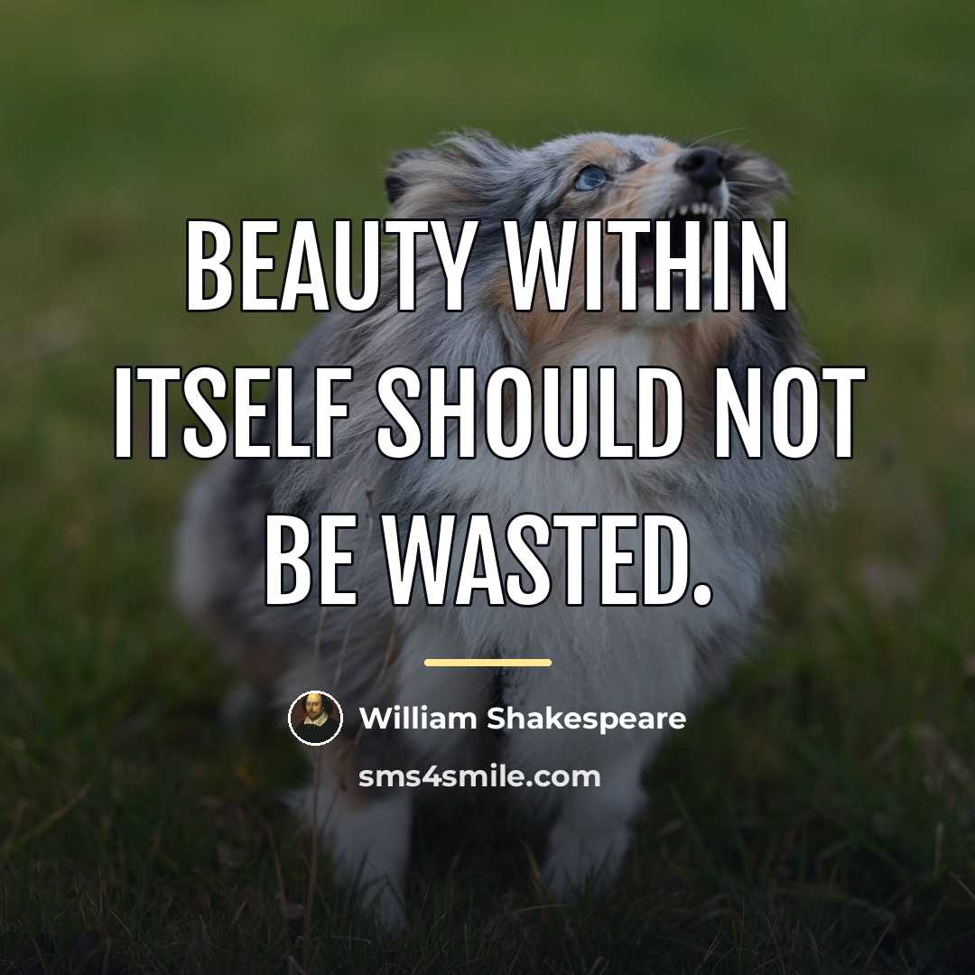 “Beauty within itself should not be wasted.…” quote by William Shakespeare