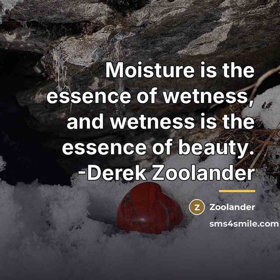 “Moisture is the essence of wetness, and wetness is the…” quote by Zoolander