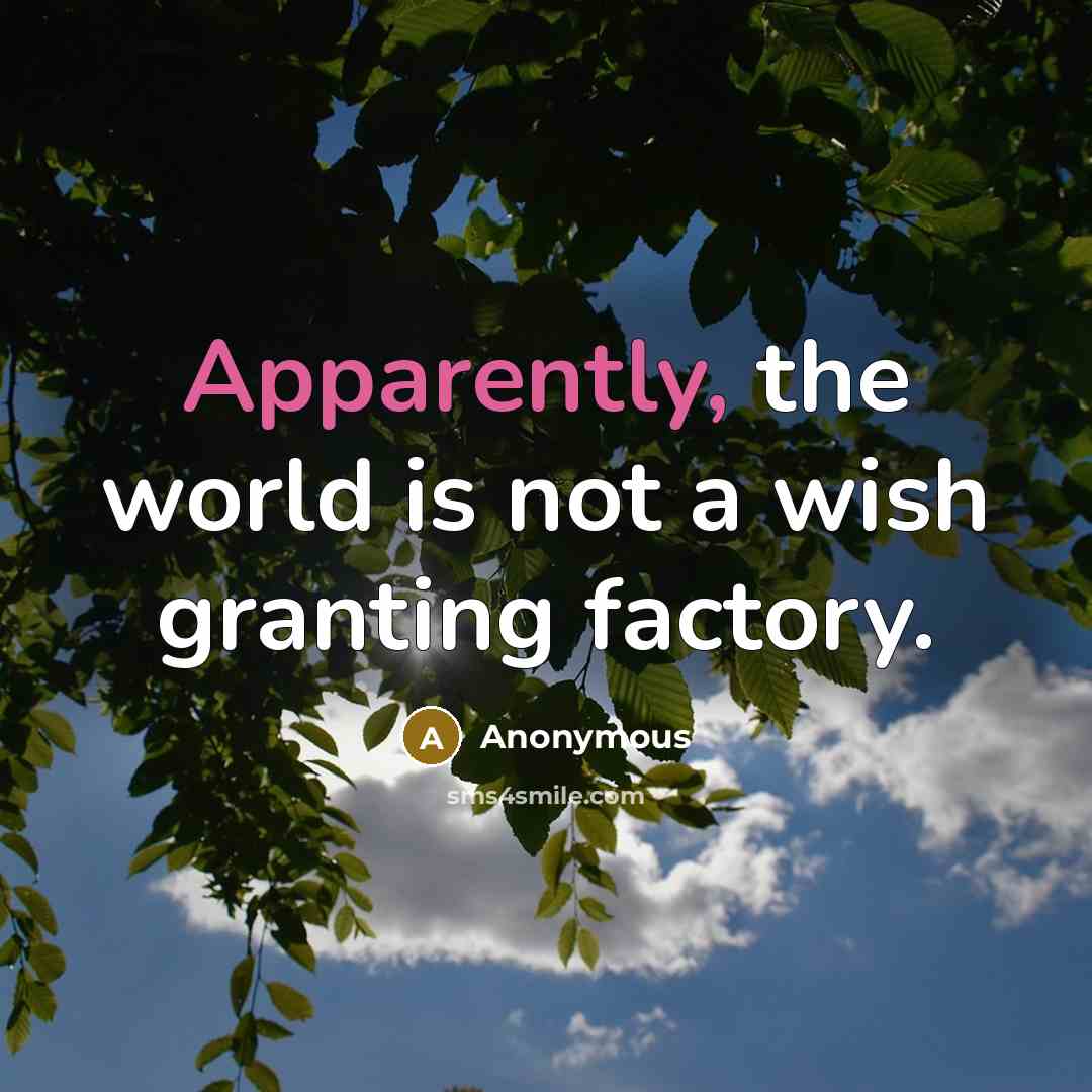 “Apparently, the world is not a wish granting factory.” quote by Anonymous