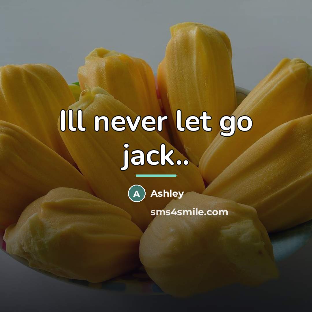 “Ill never let go jack..…” quote by Ashley