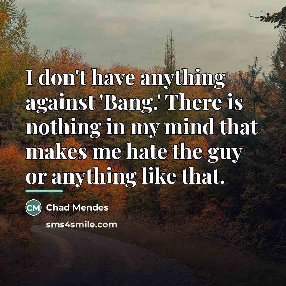 “I don't have anything against 'Bang.' There is nothing in…” quote by Chad Mendes