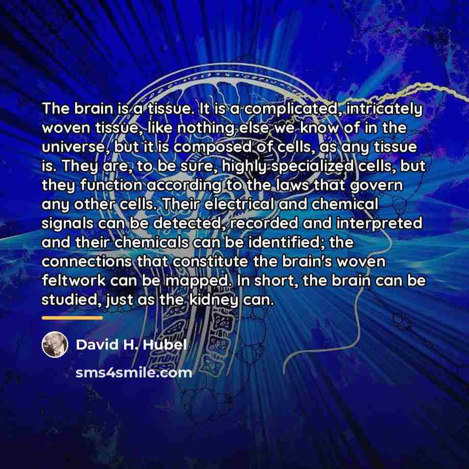 “The brain is a tissue. It is a complicated, intricately…” quote by David H. Hubel