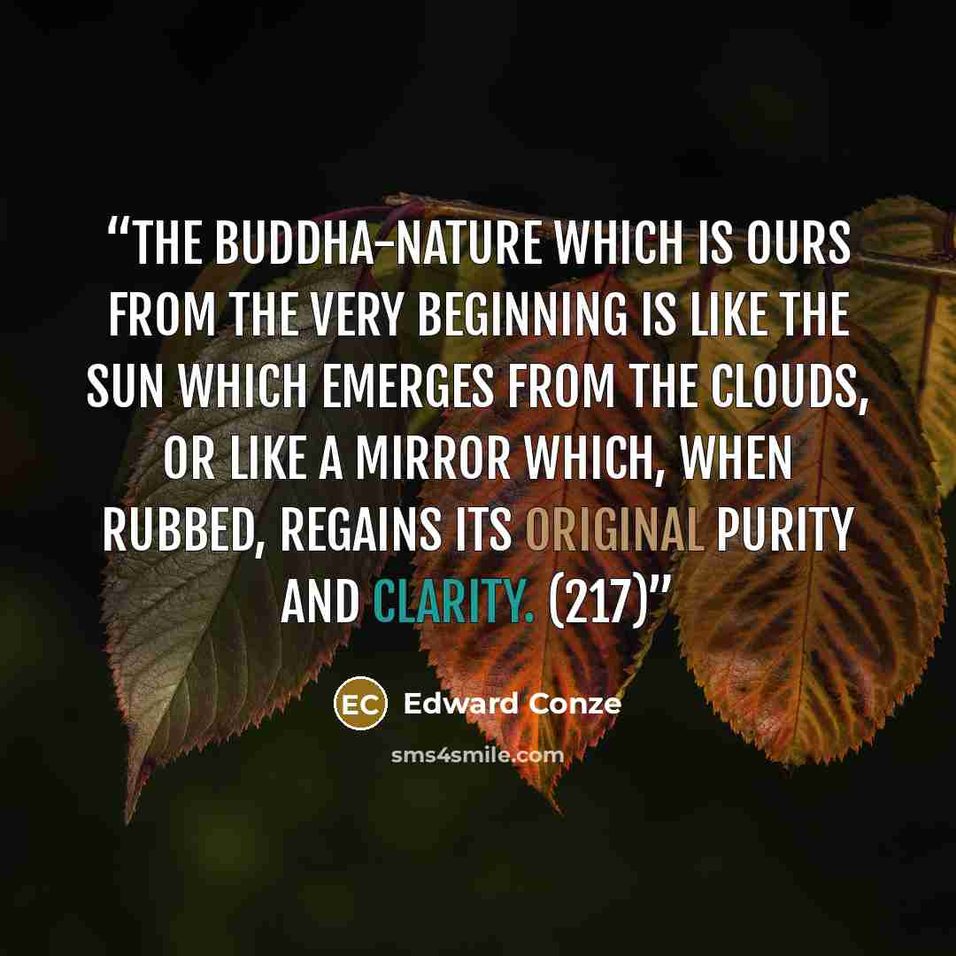 “The Buddha-nature which is ours from the very beginning is like the sun which emerges from the clouds, or like a mirror which, when rubbed, regains its original purity and clarity. (217)” quote by Edward Conze