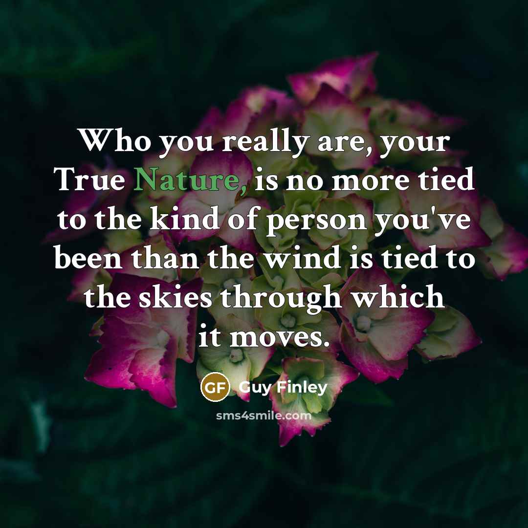 “Who you really are, your True Nature, is no more…” quote by Guy Finley