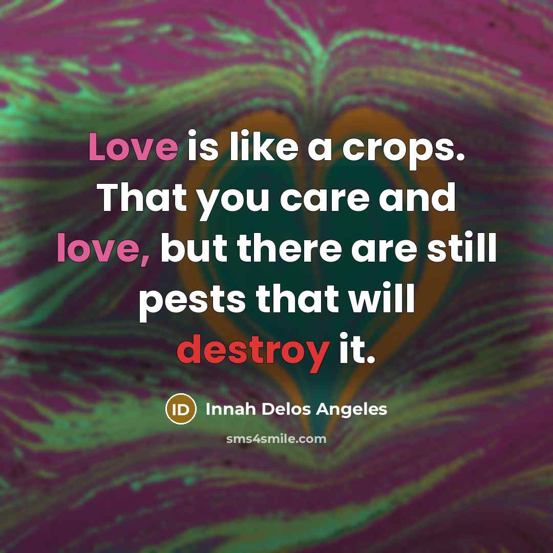 “Love is like a crops. That you care and love,…” quote by Innah Delos Angeles