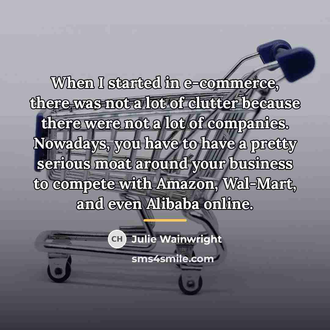 “When I started in e-commerce, there was not a lot…” quote by Julie Wainwright