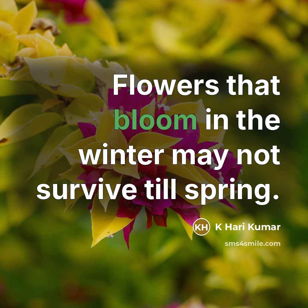 “Flowers that bloom in the winter may not survive till…” quote by K Hari Kumar
