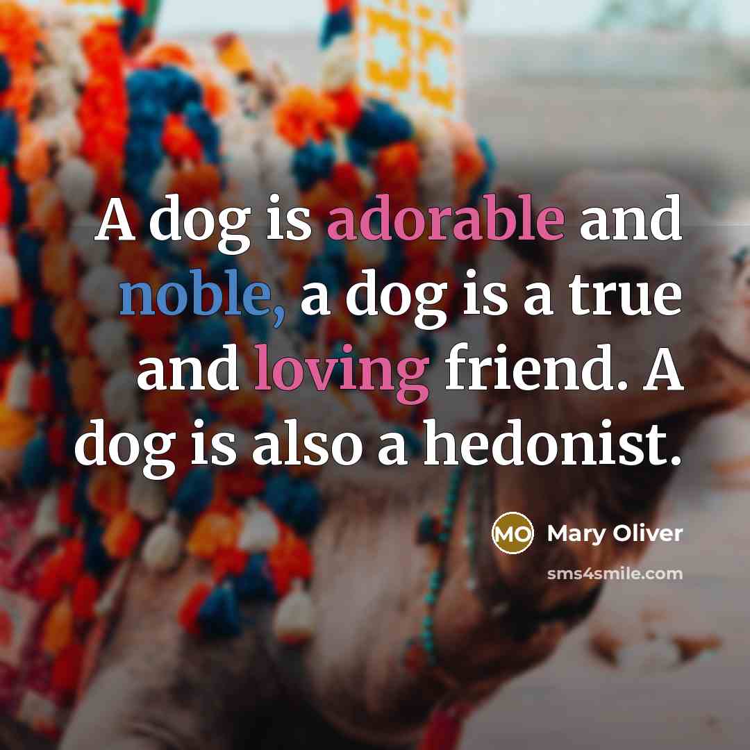 “A dog is adorable and noble, a dog is a…” quote by Mary Oliver