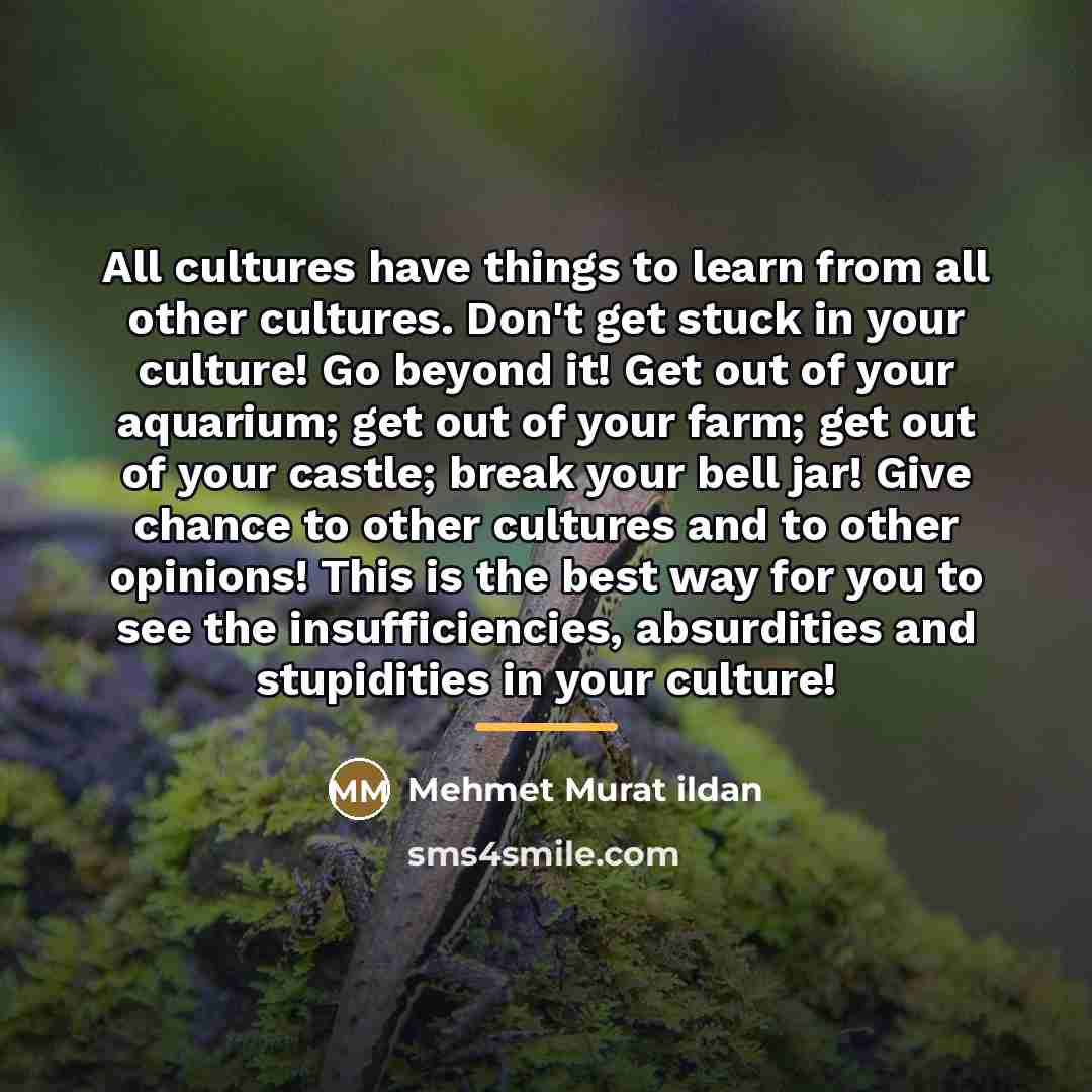 “All cultures have things to learn from all other cultures.…” quote by Mehmet Murat Ildan