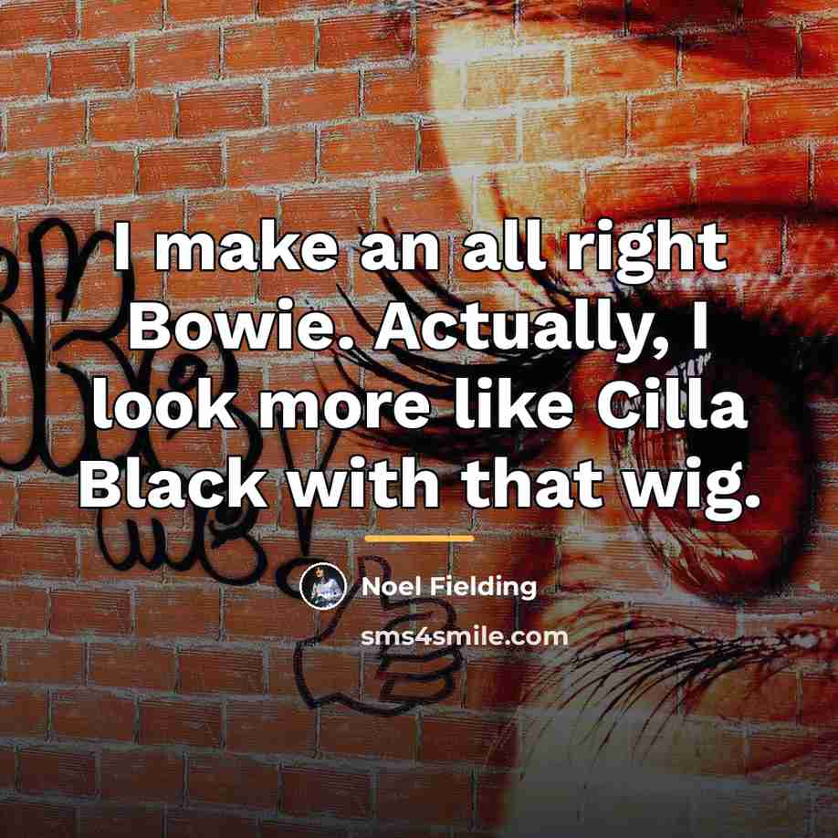 “I make an all right Bowie. Actually, I look more…” quote by Noel Fielding