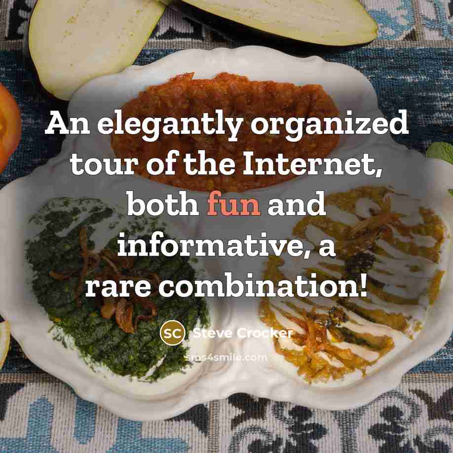 “An elegantly organized tour of the Internet, both fun and…” quote by Steve Crocker