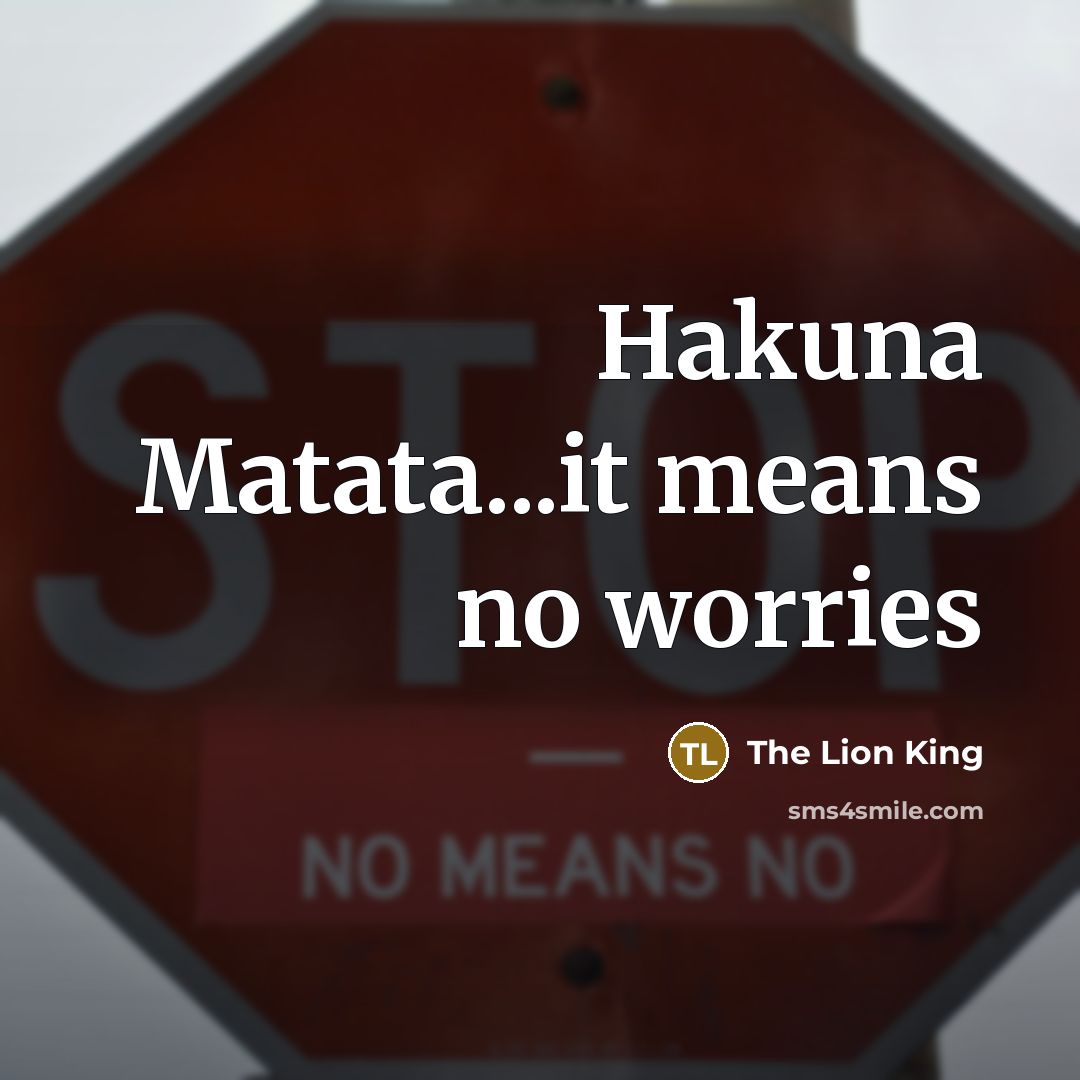 “Hakuna Matata...it means no worries” quote by The Lion King