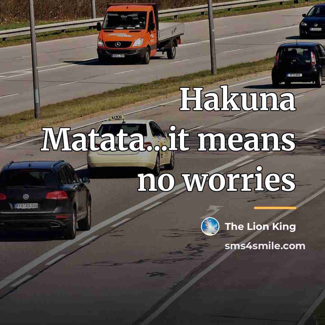 “Hakuna Matata...it means no worries…” quote by The Lion King