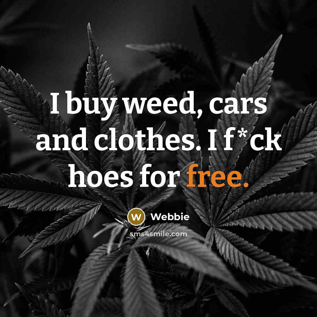 “I buy weed, cars and clothes. I f*ck hoes for…” quote by Webbie