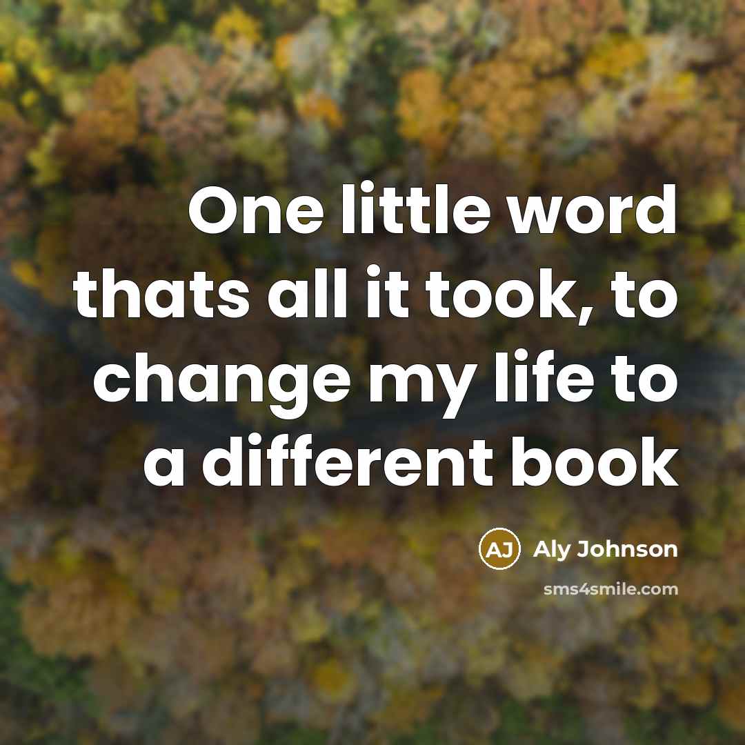 “One little word thats all it took, to change my…” quote by Aly Johnson