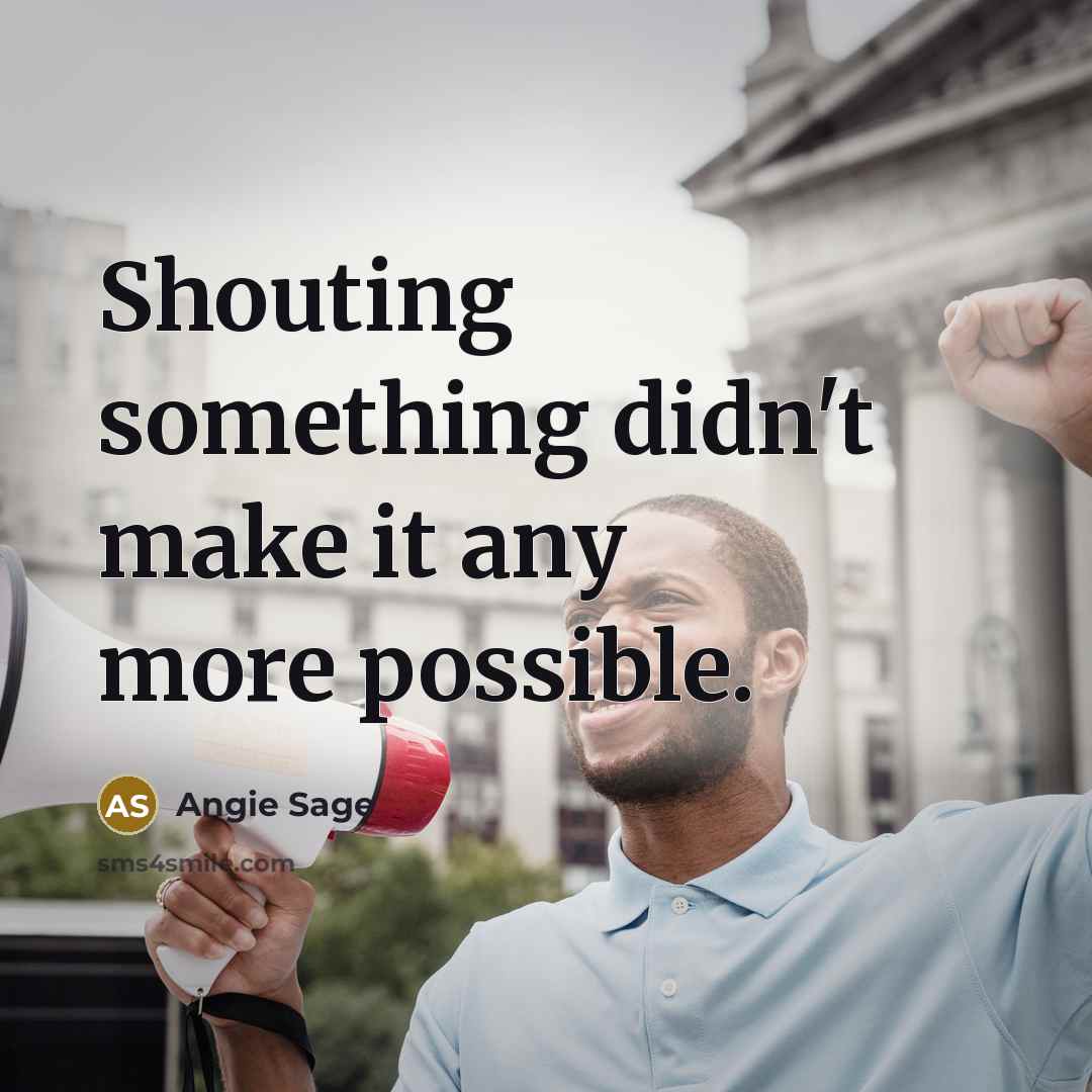 “Shouting something didn't make it any more possible.” quote by Angie Sage