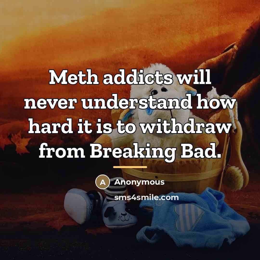 “Meth addicts will never understand how hard it is to…” quote by Anonymous