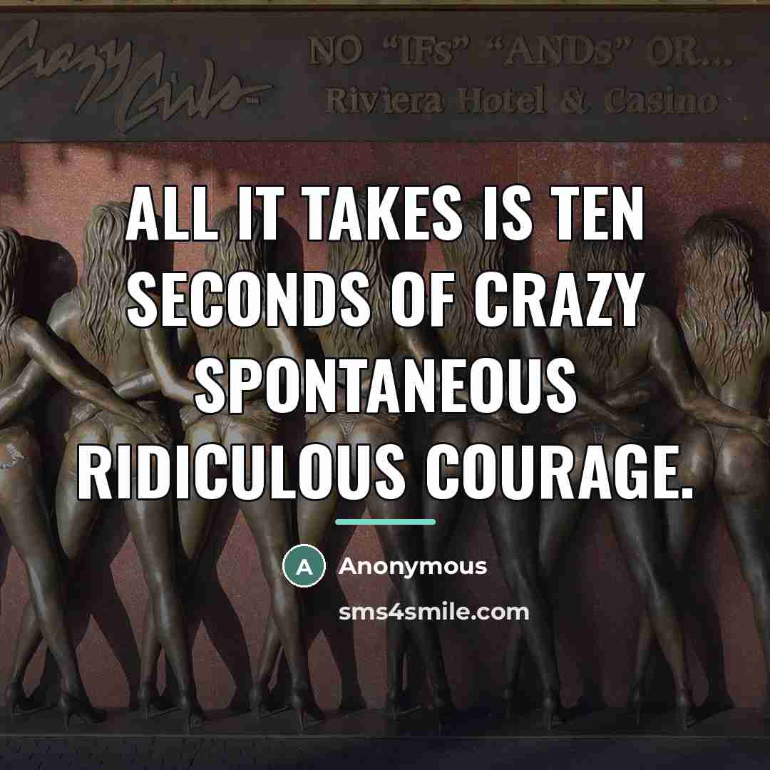 “All it takes is ten seconds of Crazy Spontaneous Ridiculous…” quote by Anonymous