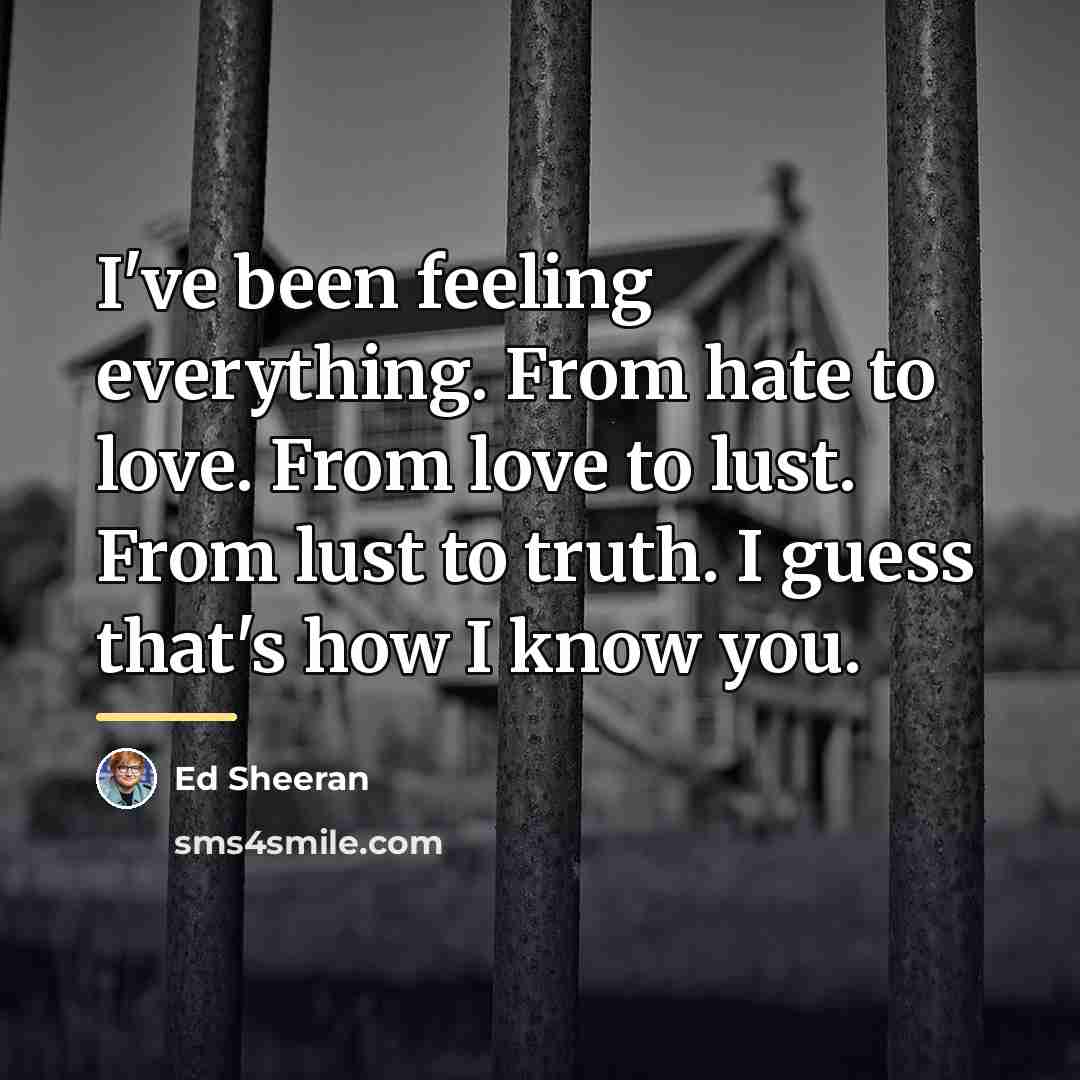 “I've been feeling everything. From hate to love. From love…” quote by Ed Sheeran