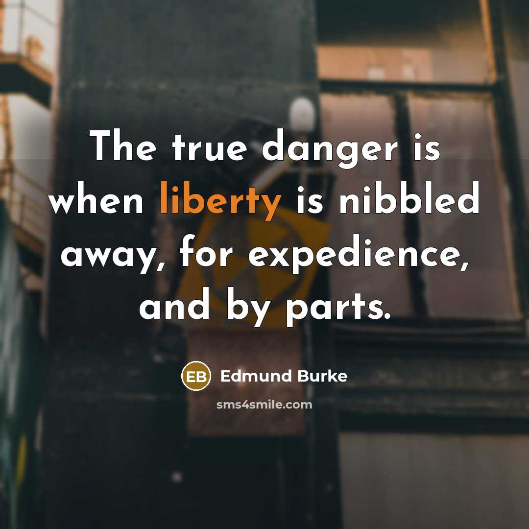 “The true danger is when liberty is nibbled away, for…” quote by Edmund Burke