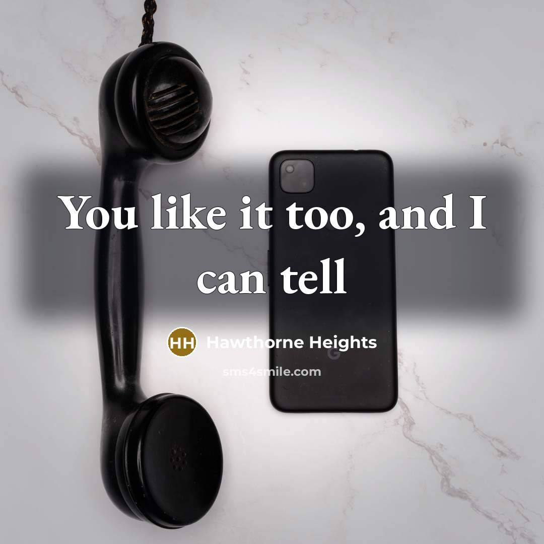 “You like it too, and I can tell” quote by Hawthorne Heights