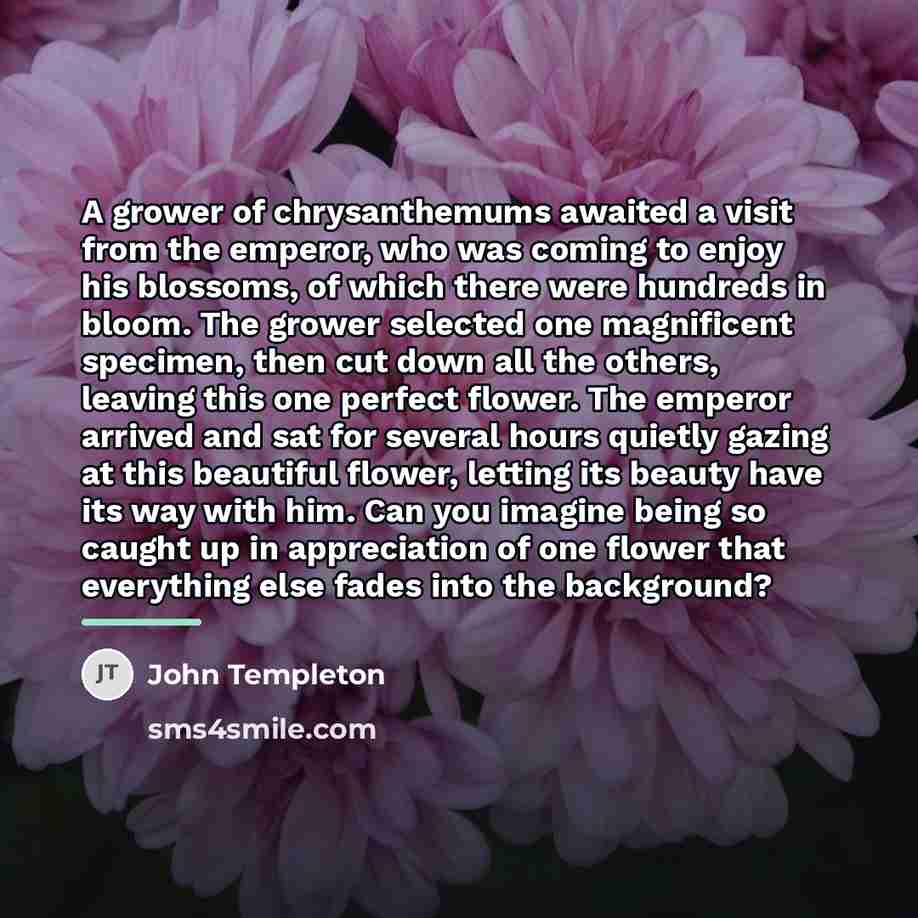 “A grower of chrysanthemums awaited a visit from the emperor,…” quote by John Templeton