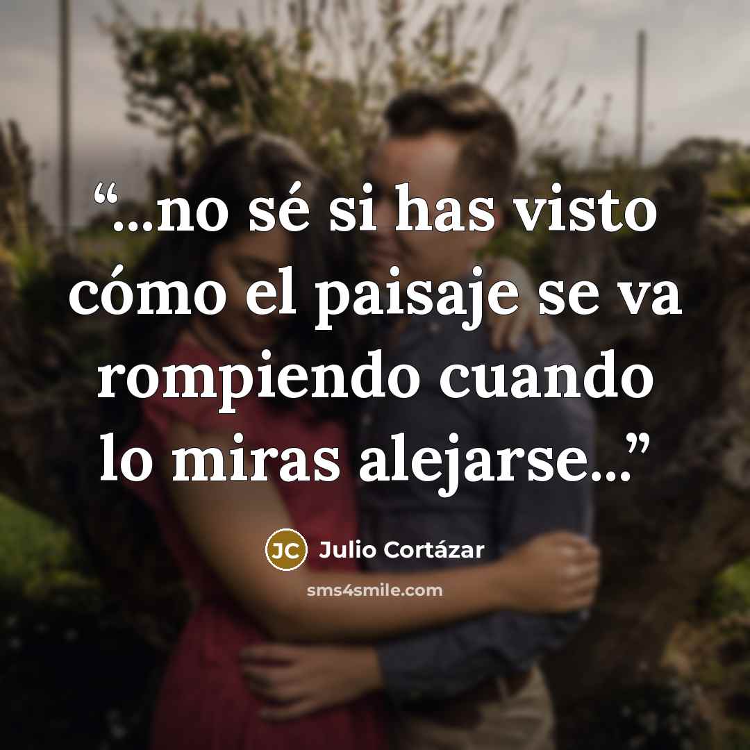 “...no sé si has visto cómo el paisaje se va rompiendo cuando lo miras alejarse...” quote by Julio Cortázar