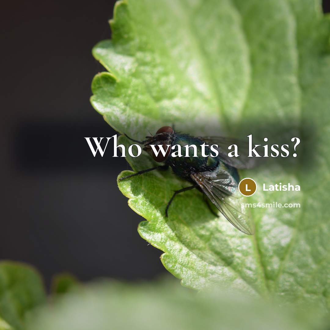 “Who wants a kiss?…” quote by Latisha
