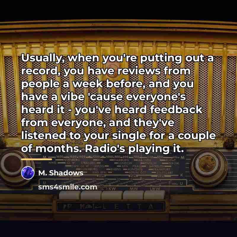 “Usually, when you're putting out a record, you have reviews…” quote by M. Shadows