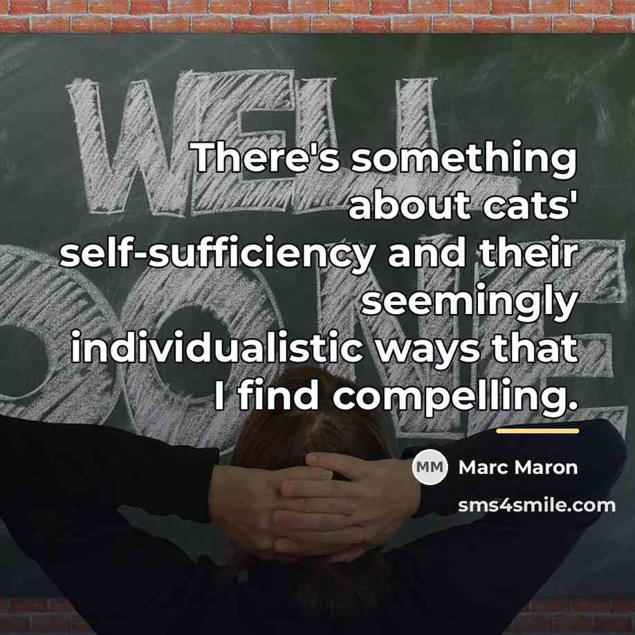 “There's something about cats' self-sufficiency and their seemingly individualistic ways…” quote by Marc Maron