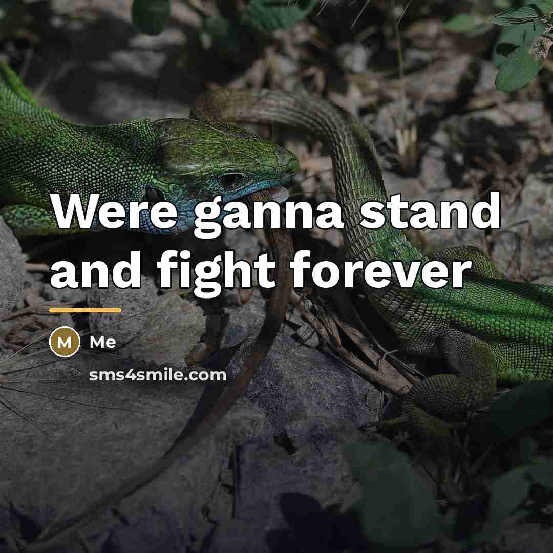 “Were ganna stand and fight forever…” quote by Me