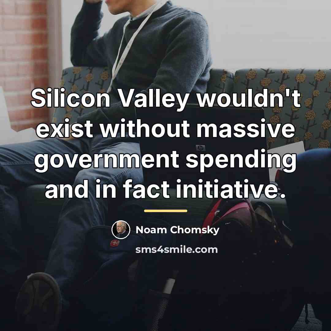 “Silicon Valley wouldn't exist without massive government spending and in…” quote by Noam Chomsky