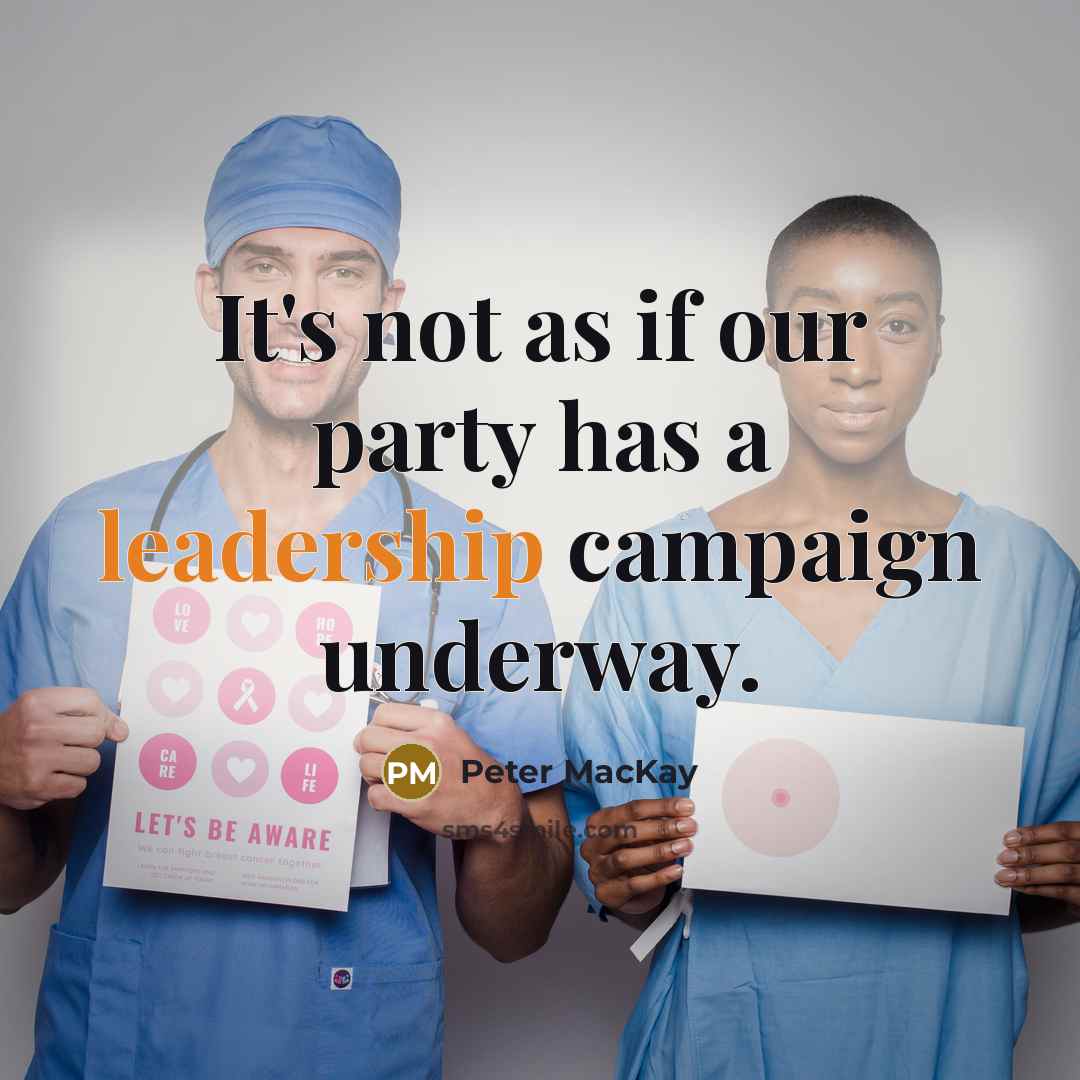 “It's not as if our party has a leadership campaign underway.” quote by Peter MacKay