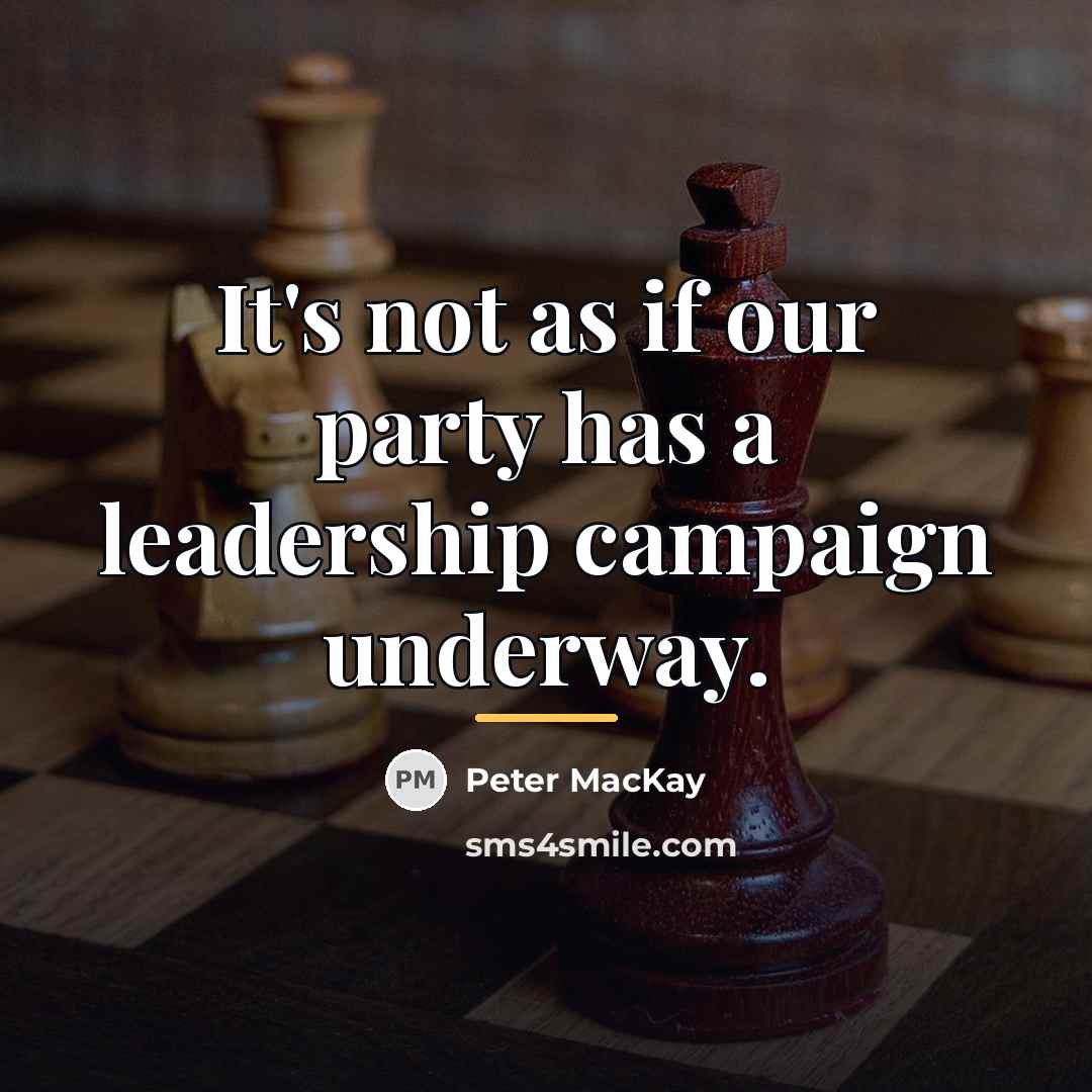 “It's not as if our party has a leadership campaign…” quote by Peter MacKay