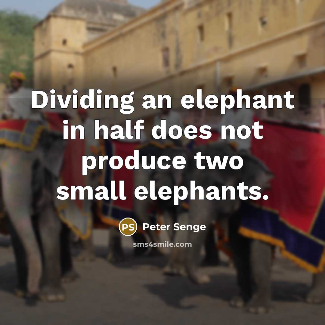 “Dividing an elephant in half does not produce two small elephants.” quote by Peter Senge