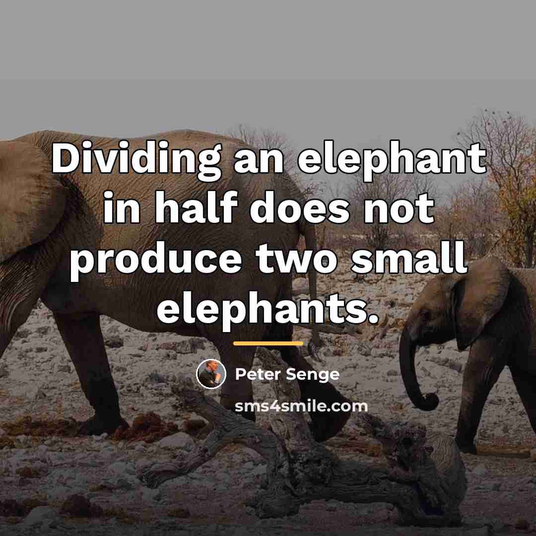 “Dividing an elephant in half does not produce two small…” quote by Peter Senge