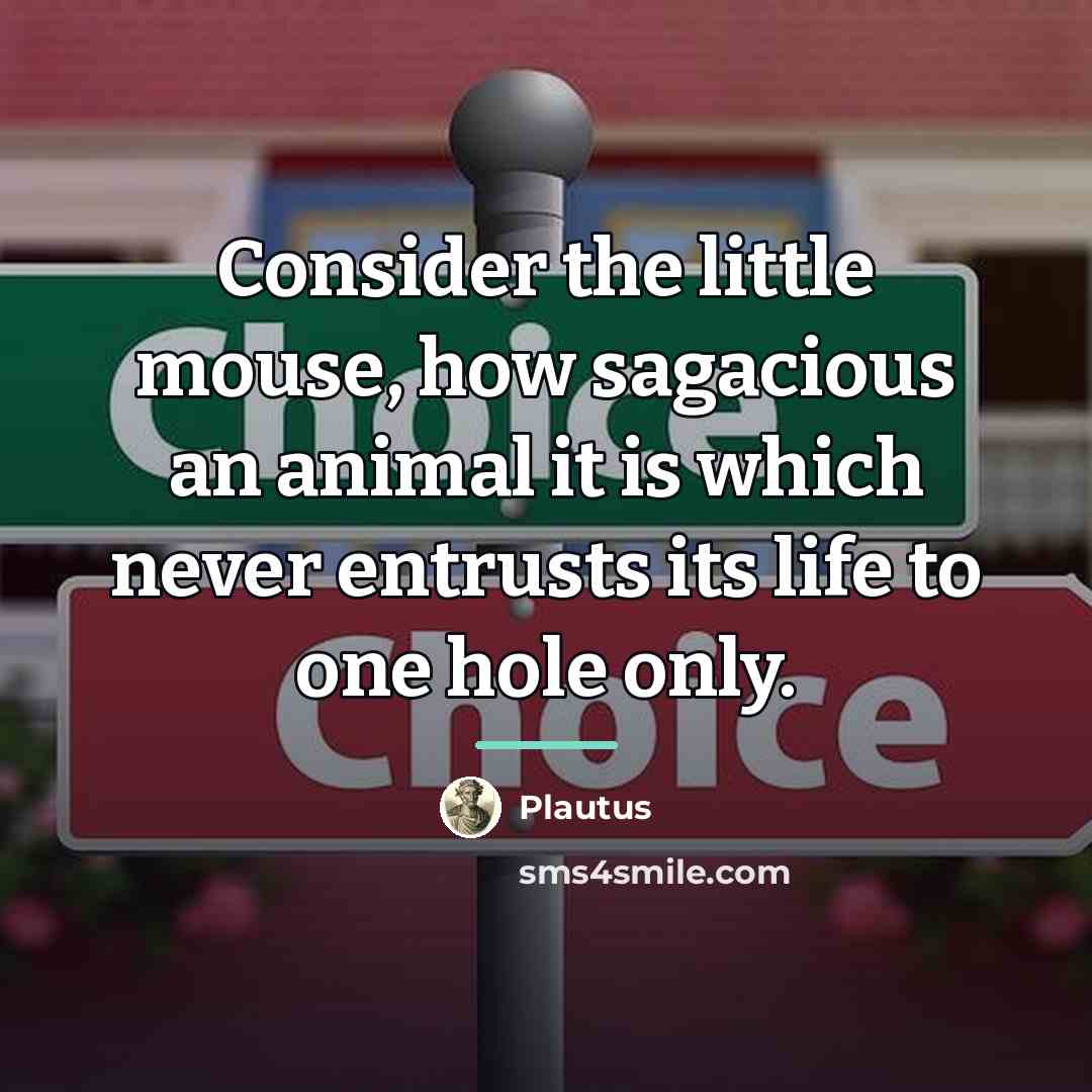 “Consider the little mouse, how sagacious an animal it is…” quote by Plautus