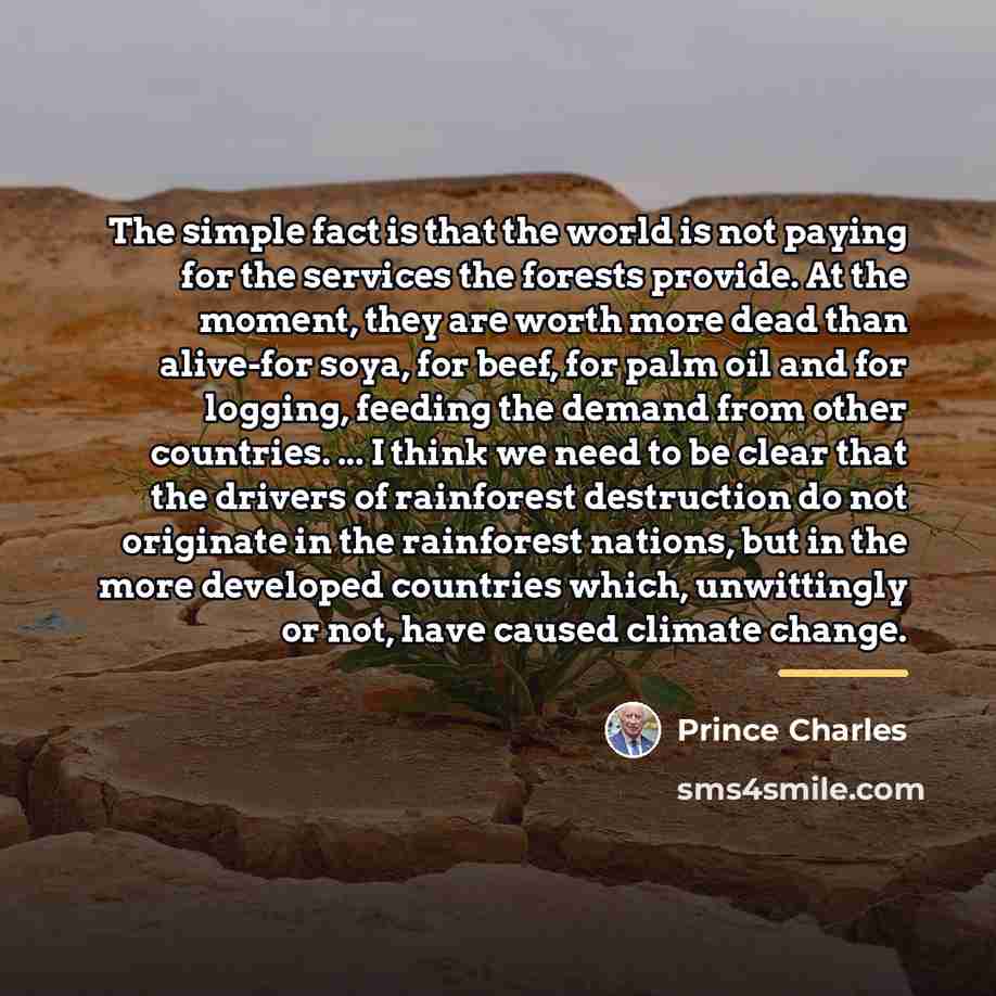 “The simple fact is that the world is not paying…” quote by Prince Charles