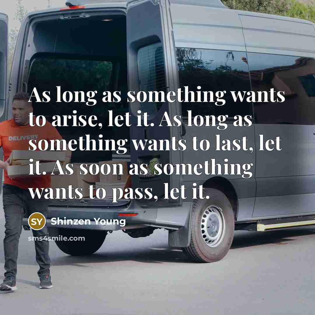 “As long as something wants to arise, let it. As…” quote by Shinzen Young