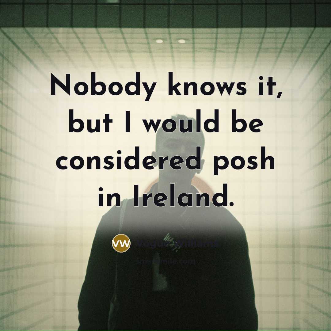 “Nobody knows it, but I would be considered posh in…” quote by Vogue Williams
