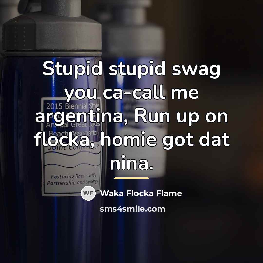 “Stupid stupid swag you ca-call me argentina, Run up on…” quote by Waka Flocka Flame