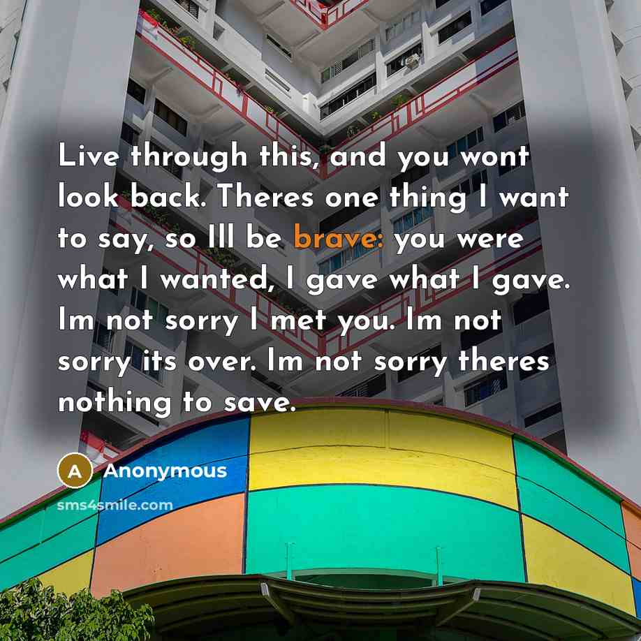 “Live through this, and you wont look back. Theres one thing I want to say, so Ill be brave: you were what I wanted, I gave what I gave. Im not sorry I met you. Im not sorry its over. Im not sorry theres nothing to save.” quote by Anonymous