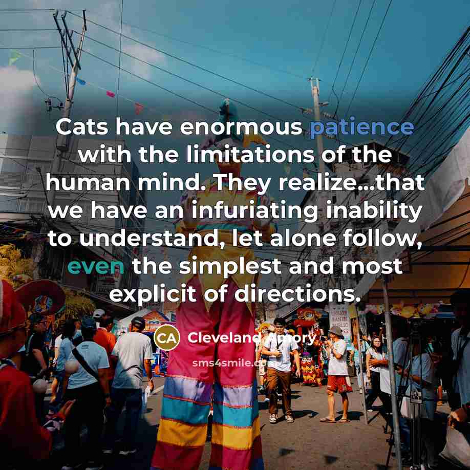 “Cats have enormous patience with the limitations of the human…” quote by Cleveland Amory